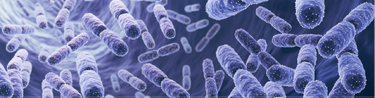 Prebiotics,-Probiotics,-Postbiotics-White-Paper-1