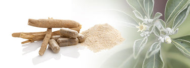 Sensoril Ashwagandha