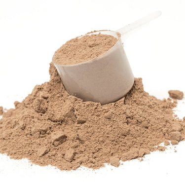 A full plastic scoop in a mound of whey powder