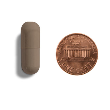 A brown capsule being compared to the size of a penny