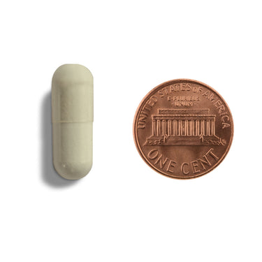 A tan capsule being compared to the size of a penny