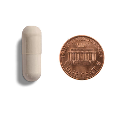 A tan capsule being compared to the size of a penny