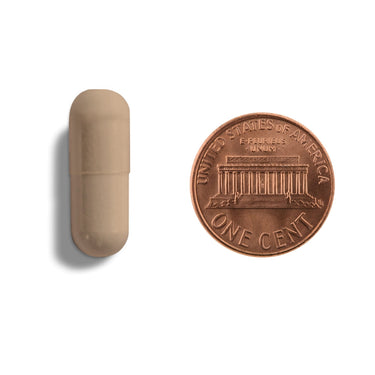 A brown capsule being compared to the size of a penny