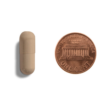 A brown capsule being compared to the size of a penny