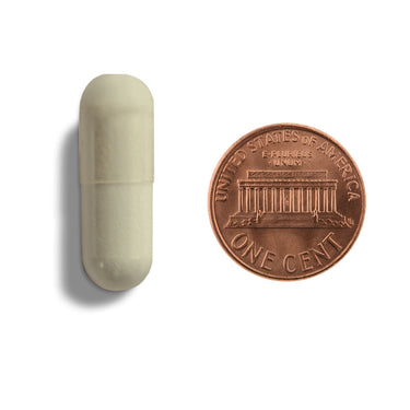 A tan capsule being compared to the size of a penny