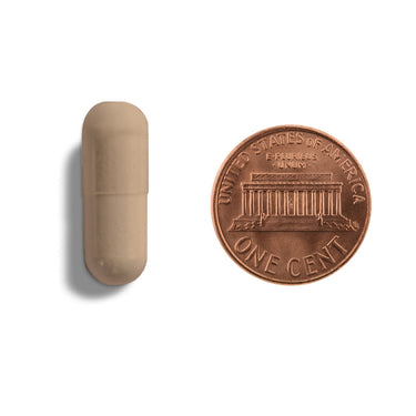 A brown capsule being compared to the size of a penny