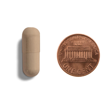 A tan capsule being compared to the size of a penny