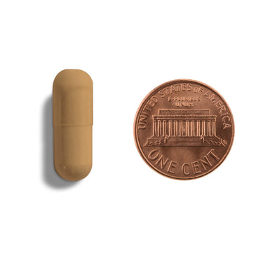 A brown capsule being compared to the size of a penny