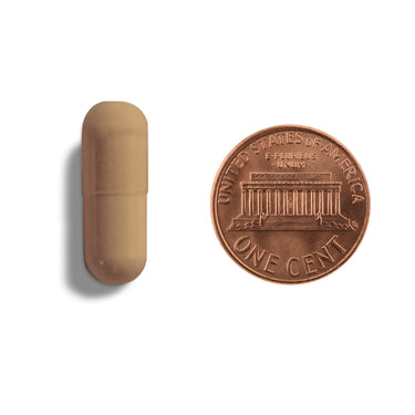 A brown capsule being compared to the size of a penny