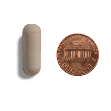 A brown capsule being compared to the size of a penny