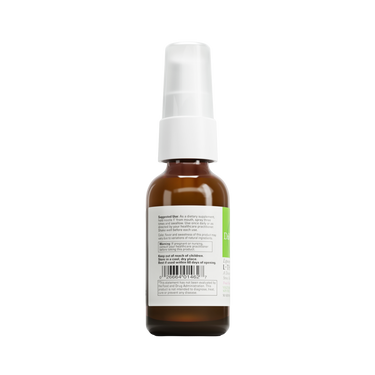Liposomal L-Theanine