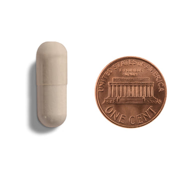 A tan capsule being compared to the size of a penny